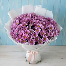 Букет цветов из:  Хризантемы в Новой Трехгорке