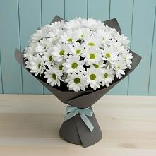 Букет цветов из:  Хризантемы в Новой Трехгорке