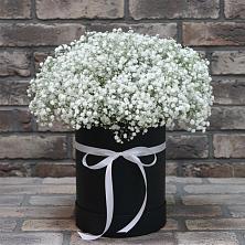 Цветочная композиция из Гипсофила в шляпной коробке в Новой Трехгорке